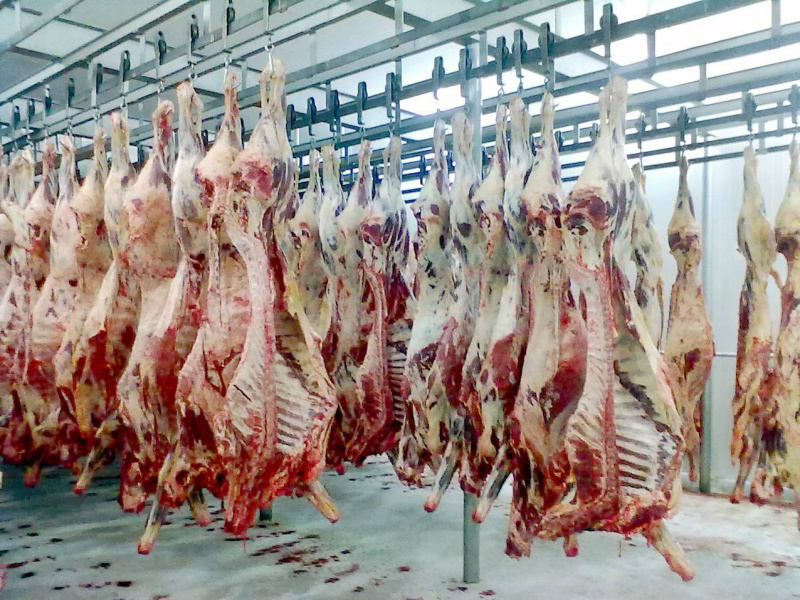 Rússia libera seis frigoríficos brasileiros de carne bovina Frigoríficos liberados para exportação de carne. Foto: Divulgação
