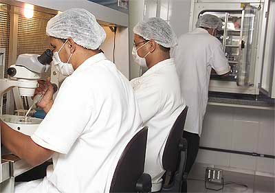 A liberação foi feita pela Comissão de ciência e tecnologia da câmara, pesquisas já podem ser feitas. Foto: Divulgação