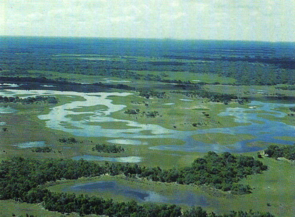 Pantanal. Foto: Divulgação