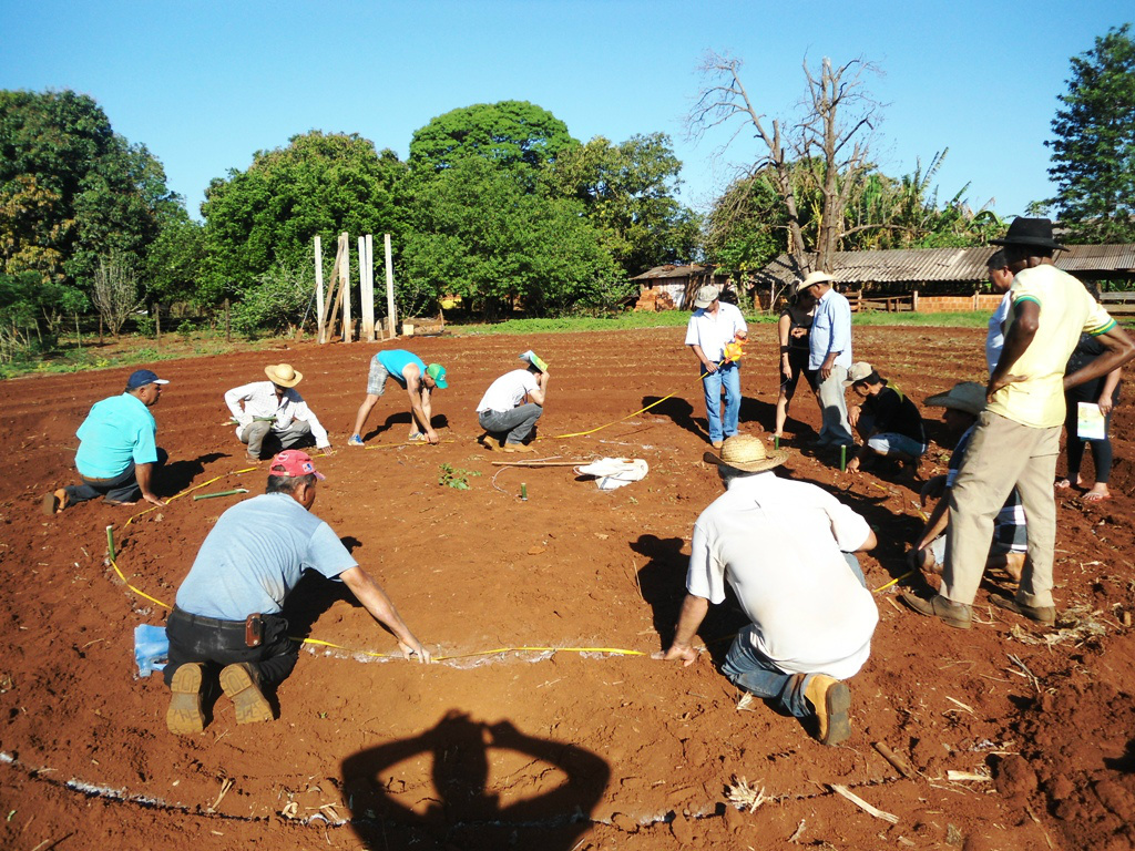 Prefeitura discute com Banco do Brasil ampliação da produção orgânica Pequenos produtores da 6ª Linha, no distrito de Vila Vargas, implantam horta comunitária através de programa da prefeitura. Foto: Semafes