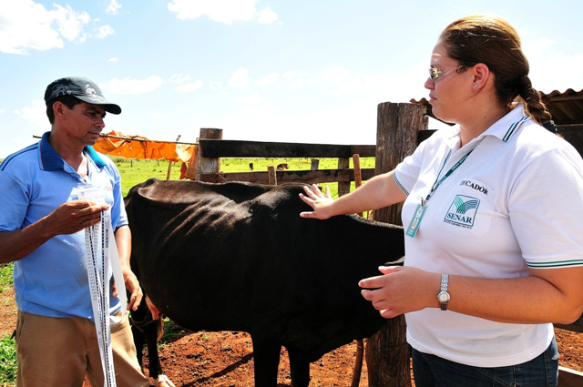 Senar /MS oferece curso de inseminação artificial O processo de inseminação artificial em bovinos vai ser um dos cursos mais esperados pelos agricultores. Foto: Divulgação