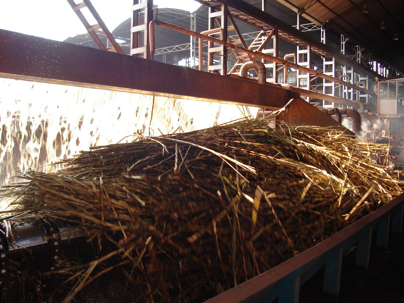 MS já moeu 33 milhões de toneladas de cana na safra 2013/2014 Mato grosso do sul moeu mais da metade da cana esperada na safra atual. Foto: Divulgação