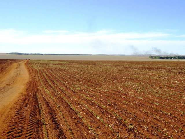 Mato Grosso do Sul na reta final do plantio da soja Foto: Famasul