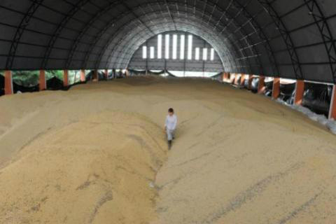 China quer comprar ainda mais soja do Brasil Soja brasileira estocada para exportação. Foto: Divulgação