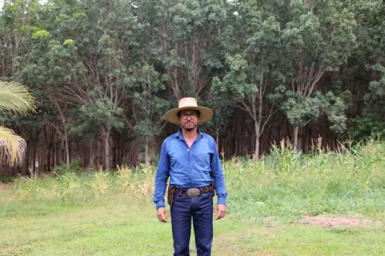 Senar/MS impulsiona extração sustentável de látex em propriedade rural de Camapuã