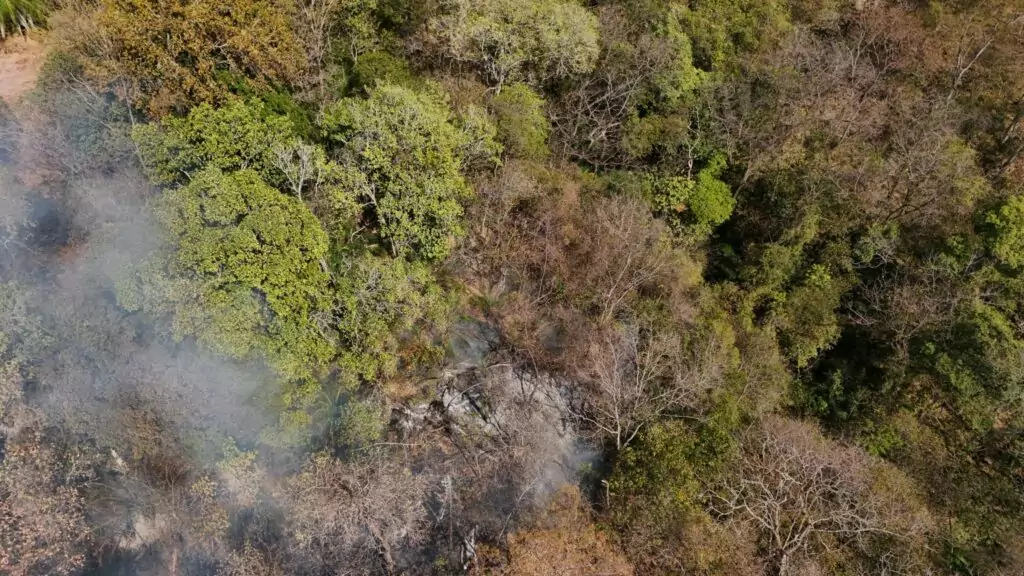 Com menor ocorrência de incêndios florestais, Governo de MS mantém alerta e atuação dos bombeiros