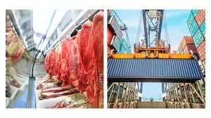 Mercado do boi gordo encerra a semana em alta no mercado físico sustentado pela firmeza nas exportações