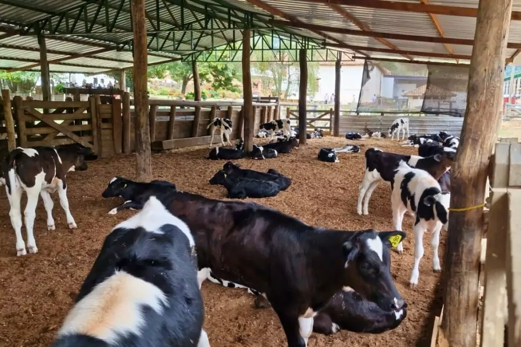 InovaTeck e Embrapa-MS fecham convênio para impulsionar FIV Gemelar no Mato Grosso do Sul