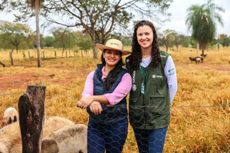 Produtora de Terenos aposta na ovinocultura e faz da atividade a principal fonte de renda
