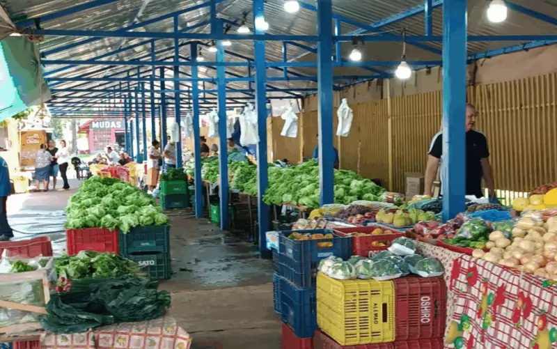 Prefeitura transforma o campo, fortalece feiras e impulsiona a agricultura familiar em 11 meses