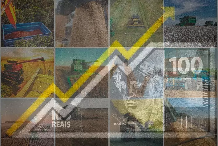 Agronegócio brasileiro cresce e atinge R$ 12,3 trilhões, mas perde espaço no PIB nacional