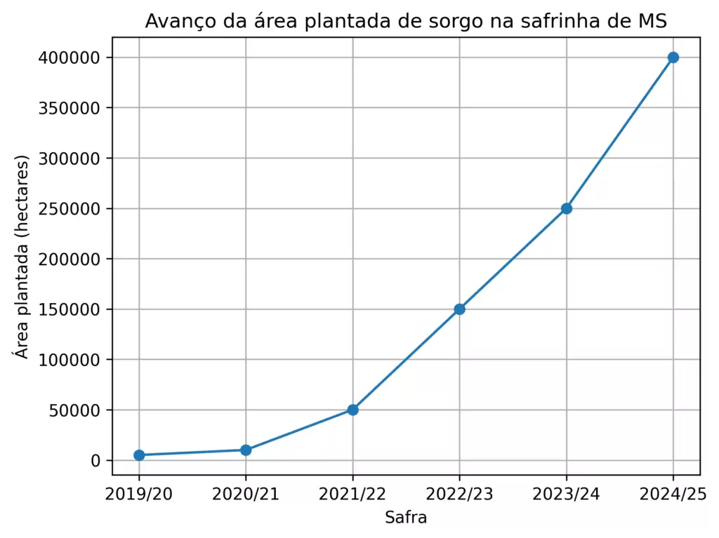 Sorgo deixa de ser alternativa e ganha protagonismo na safrinha de Mato Grosso do Sul