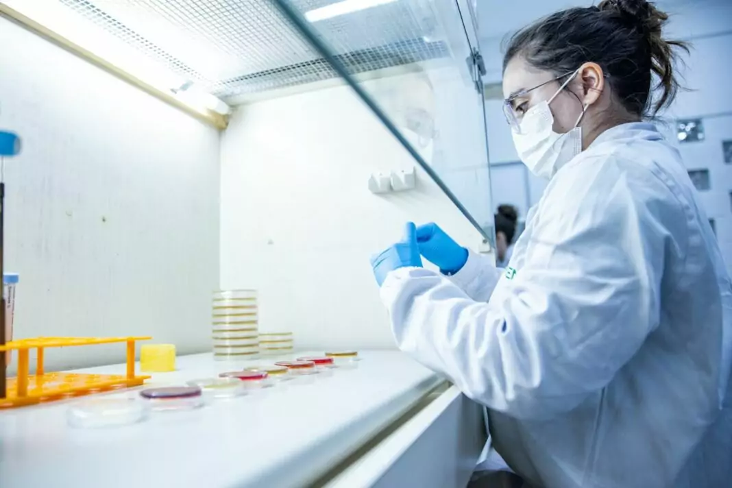 Novo biofungicida multissítio amplia controle de doenças foliares e reduz risco de surgimento de resistência em importantes culturas agrícolas