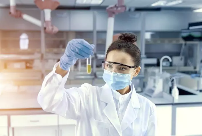 Técnica moderna melhora fertilidade de éguas com problemas uterinos.