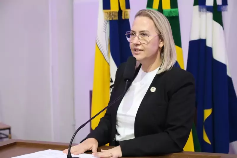 Sinalização em área escolar é solicitada pela vereadora Liandra da Saúde. (Crédito: F.Grott/CMD)