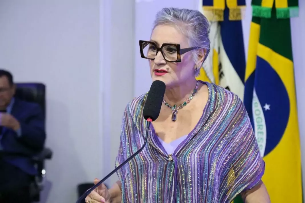 Advogada Edna Bonelli, presidente da 4ª Subseção da OAB Dourados e Itaporã, anuncia campanha de vaorização da Advocacia, Foto: Divulgação.