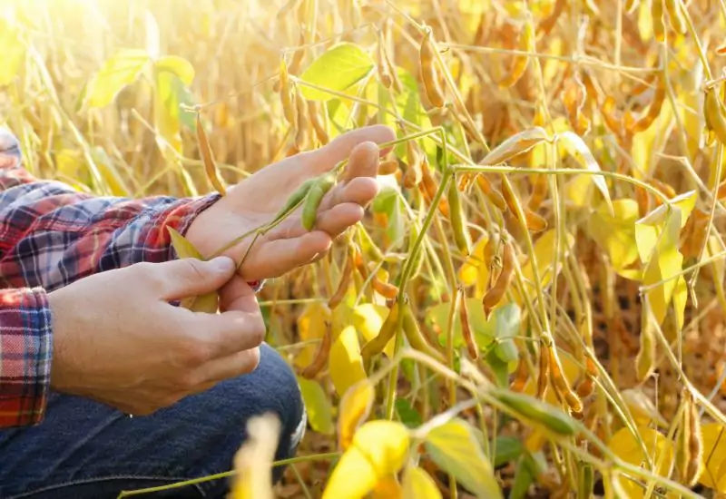 Circuito Acadêmico promove capacitação prática com máquinas e tecnologias de precisão voltadas à agricultura moderna, em Campo Grande