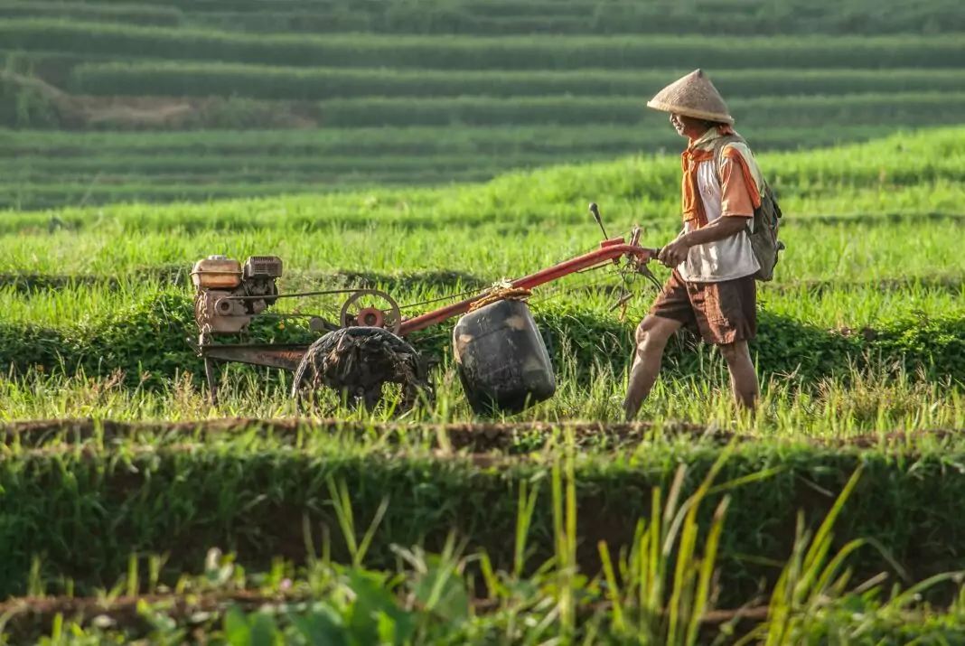 Foto. Crédito: Reprodução Unsplash/Jantri Simbolon