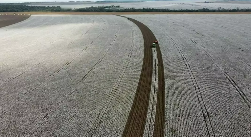 Tecnologia inovadora combinando nutrientes e biofertilizante potencializa o enchimento de grãos e amplia produtividade em diferentes culturas
