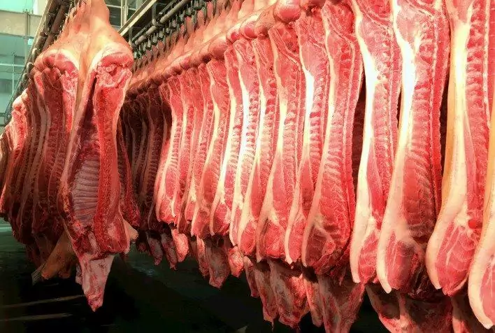 Exportações de carne suína do Brasil batem recorde histórico no primeiro semestre de 2026 e impulsionam setor