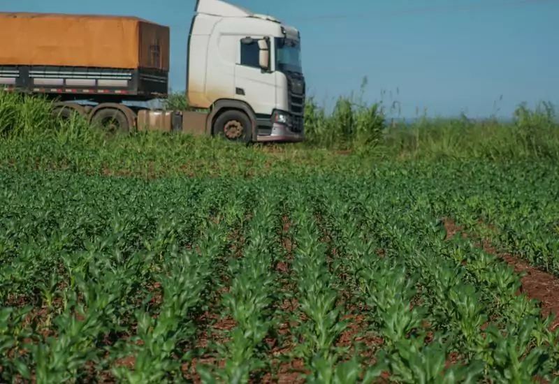 Estudo analisa os impactos da infraestrutura logística sobre a produção agrícola de Mato Grosso do Sul