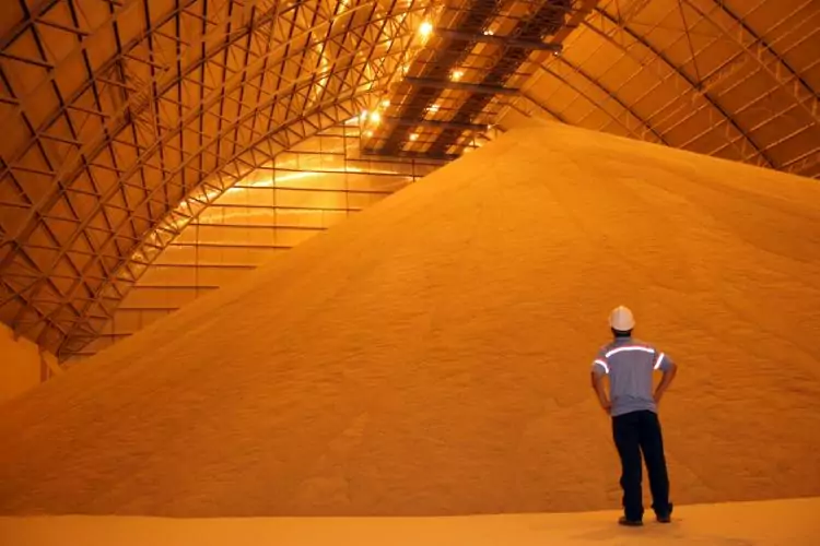 Alta nas cotações da soja melhora cenário para comercialização em Mato Grosso do Sul, aponta Boletim da Famasul