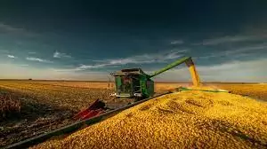 Colheita do milho segue em Mato Grosso do Sul, com ritmo abaixo do registrado no mesmo período da safra passada.