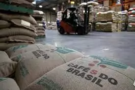 Exportações de café do Brasil crescem 9,9% em julho, impulsionadas pelo avanço do conilon