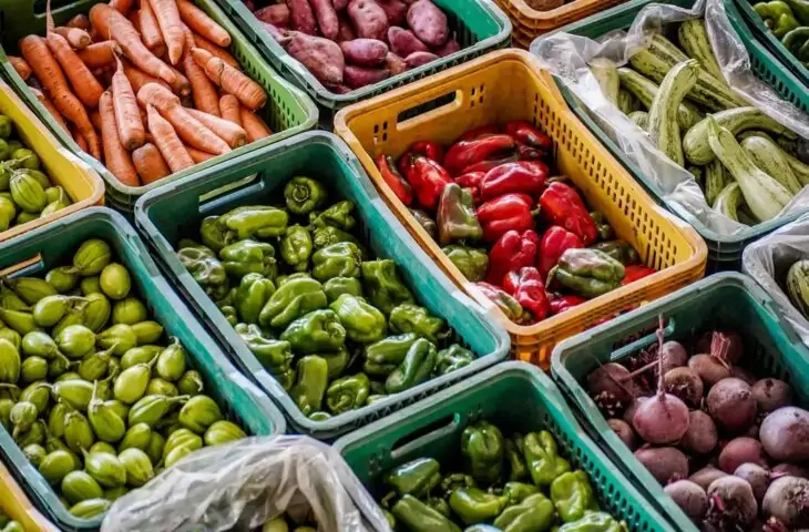 SES lança painel para monitorar situação alimentar e nutricional nos municípios de MS