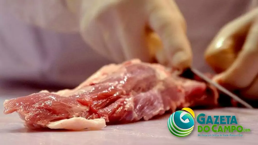 Exportações de carne bovina crescem 47,9% e se aproximam da celulose em MS