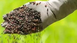 Mercado de fertilizantes aumenta pressão sobre os custos da soja