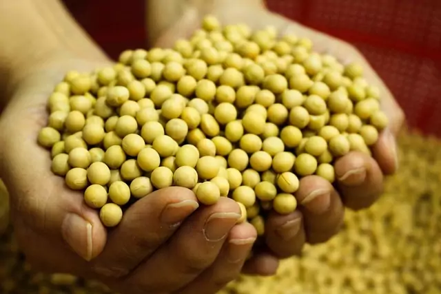 Perspectiva é de safra brasileira de soja maior em 2026/27, aponta Safras